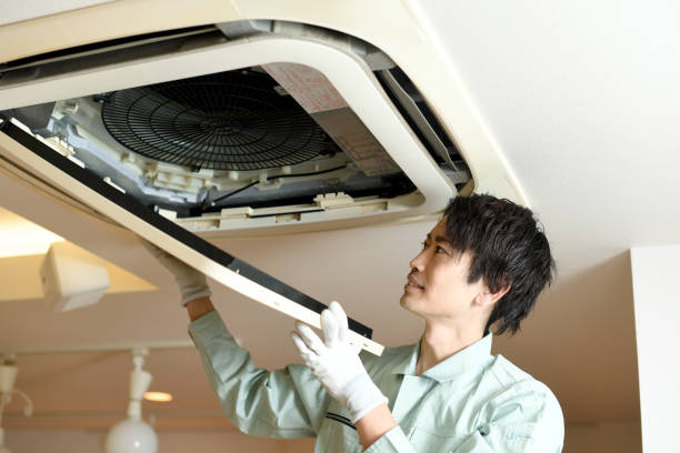 Air Duct Mold Removal in Largo, FL