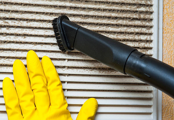 Best Professional Duct Cleaning Services  in Largo, FL